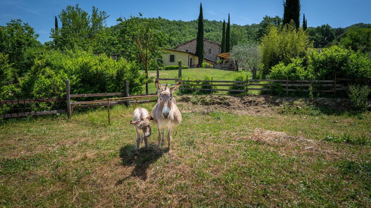 Agriturismo I Pietrini Pérouse Extérieur photo